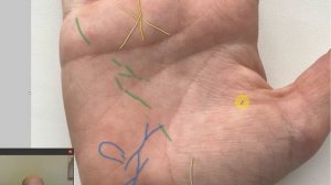 РУКА  ДИАНЫ.   ХИРОМАНТИЯ.