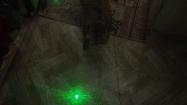 КАНАЛ Missis Dusya | Канал о БРИТАНСКОЙ кошке | КОШКА ИГРАЕТ С ЛАЗЕРОМ смотреть онлайн