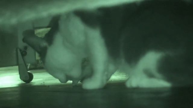 Ночной дожор Марфея) смотреть онлайн