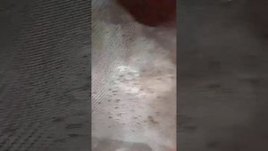 Тойота Ипсум 10 15 плохо греет печка. Промывка радиатора.