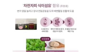 Шелуха  семян подорожника.