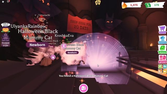 УСПЕЛИ НА ХЕЛЛОУИНСКОЕ ОБНОВЛЕНИЕ В АДОПТ МИ! Roblox Adopt Me смотреть онлайн