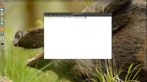Установка Telegram в Ubuntu 18.04
