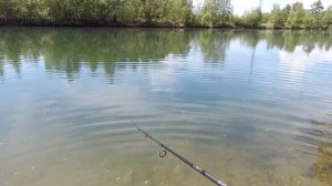 Rapala X - Rap - воблер который всегда выручает. Рыбалка после изоляции. Рыбалка 2020