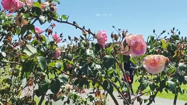 Продвижение бизнеса с помощью публикаций в СМИ: где и о чем писать? смотреть онлайн