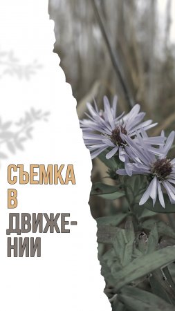 Съемка в движении