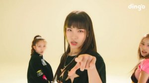 영파씨(YOUNG POSSE) – MACARONI CHEESE | [COLOR DANCE] | 4K Performance Video | DGG | DINGO