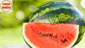 Почему арбуз - это ягода?