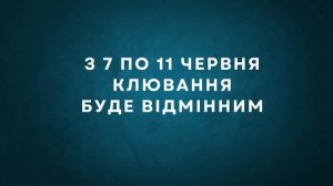 Календар рибалки на червень. Прогноз клювання риби. Місячний Календар рибалки 2023