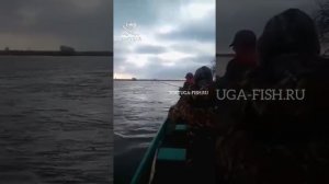 Зимняя Рыбалка в Астраханской обл Дельта Волги👍