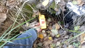 Радиация в Москве. Коломенское / Radiation in Moscow