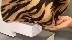 Мастер класс по изготовлению шляпы из фетрового колпака тигрового цвета своими руками тренд 2022