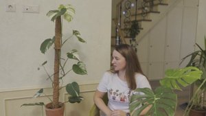 №76. Монстера Альба. От чего зависит вариегатность? Когда начинают разрезаться листья?