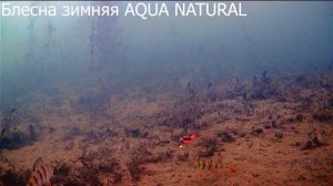 Блесна зимняя AQUA NATURAL