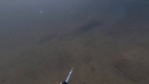 Озеро Половинное