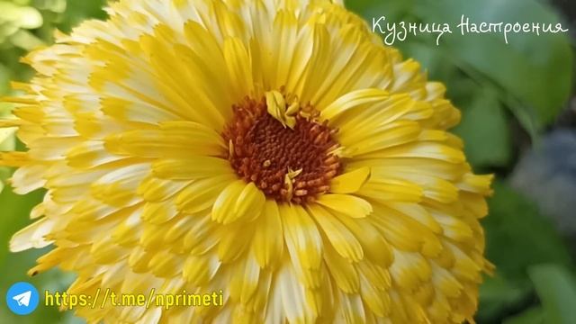 20 октября народный праздник День Сергия Зимнего. Что нельзя делать. Народные традиции и приметы