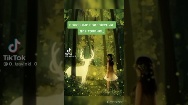 травницы и ведьмочки