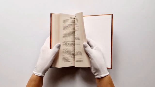 Академия ХИЛТ. Светлый феникс смотреть онлайн