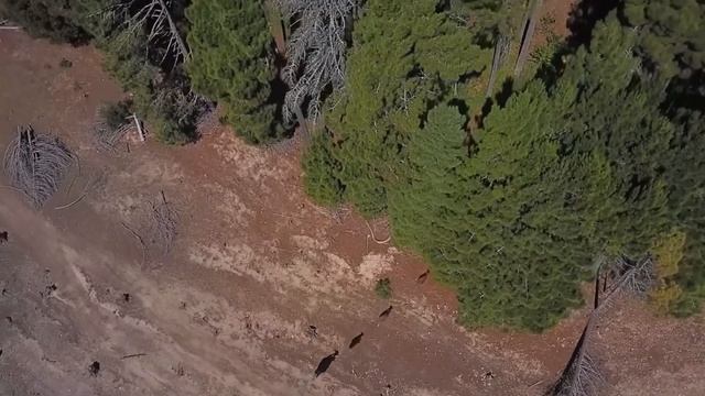 Сознательно расслабиться / Nikosho смотреть онлайн