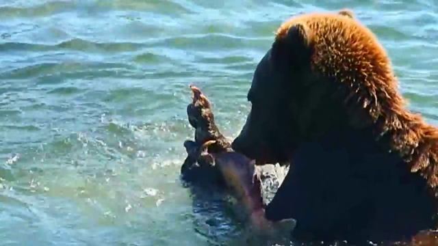 Отдых на Байкале. Экотур. Аттракцион Воронова 2014 смотреть онлайн