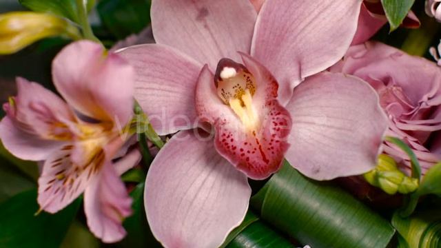 Pink Orchid in the Bouquet Top View