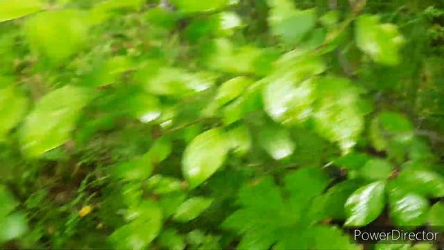 А лето заканчивается 🤔13 августа 2023 г. смотреть онлайн