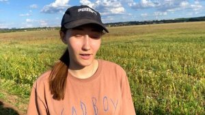 Копатель корнеплодов для чеснока | Уборка урожая 2023 года