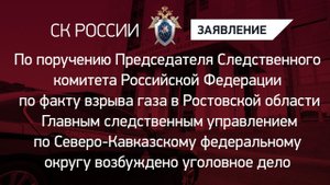 По факту взрыва газа в Ростовской области  возбуждено уголовное дело