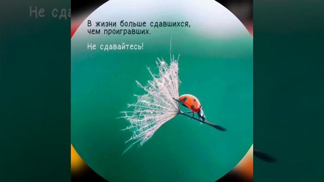 Рекомендации по сохранению психологического здоровья.