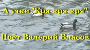 А утки Кря-кря-кря