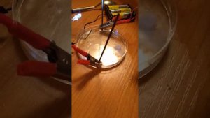 Электролиз раствора соли. Эксперимент с лампочкой