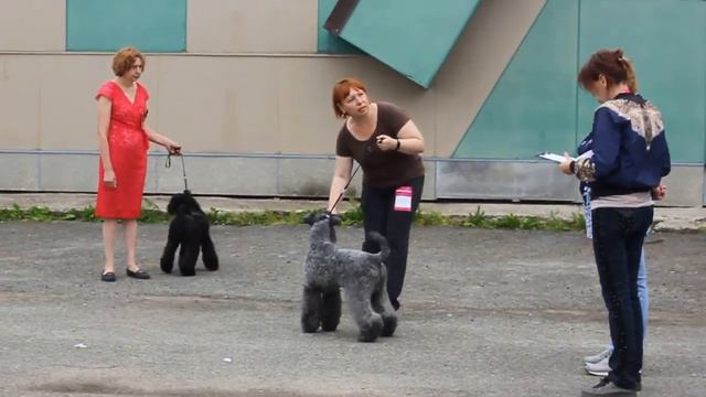 керри, Березники, 27.07.2019 смотреть онлайн