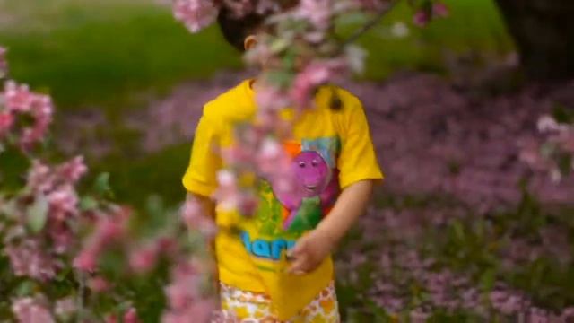 Happiness ... Nikon D7100 (test video) смотреть онлайн