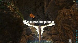 Ark Survival Evolved - LOST ISLAND ЛУЧШАЯ КАРТА ДЛЯ НОВИЧКОВ?