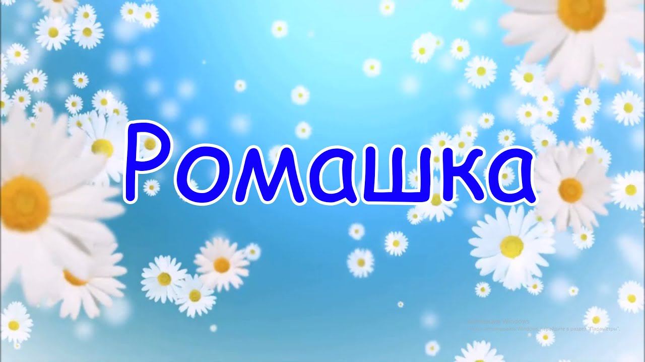 Васильченко Софья - "Ромашка" смотреть онлайн