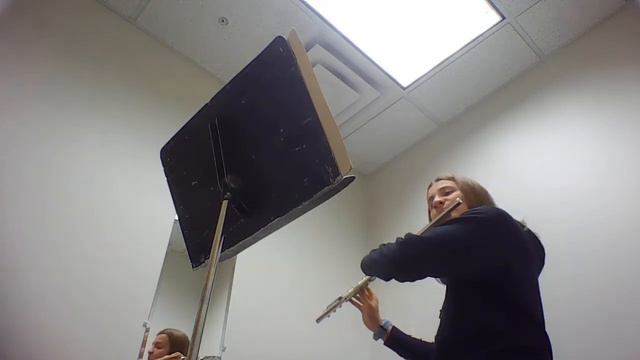 Andersen Etude in D Major, Op. 15 No. 5 смотреть онлайн