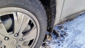 "ПРОект Веста Плутон". Один из недочетов "Весты" - грязь на порогах