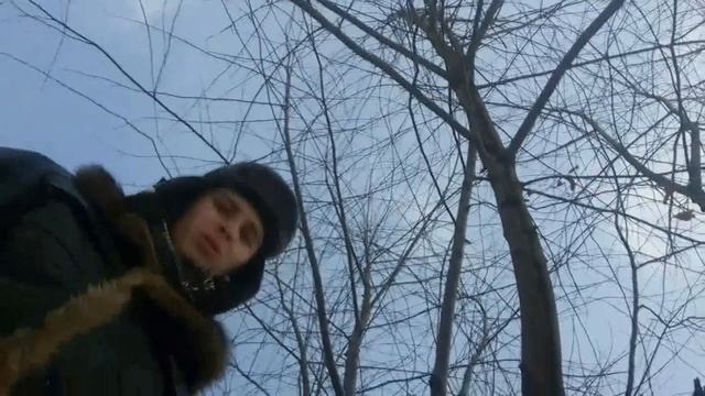 Собачники!!!!