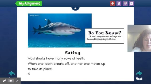 My Assignment | Kids A-Z смотреть онлайн