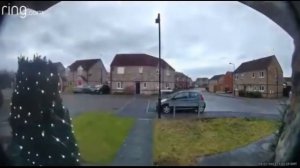 кот мяукает в камеру 10 ЧАСОВ