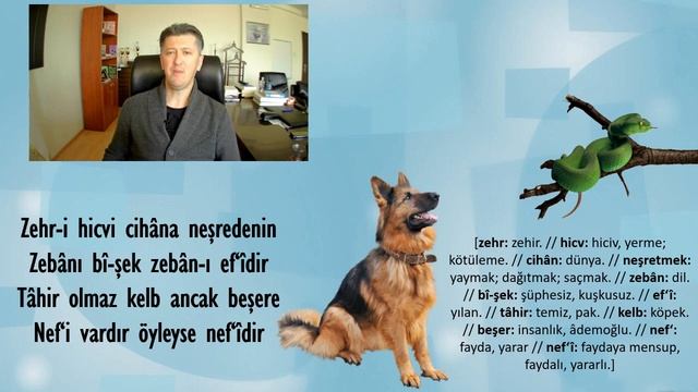 Tâhirü'l-Mevlevî'nin NEF'Î'ye Cevabı (Prof. Dr. Özer Şenödeyici) смотреть онлайн