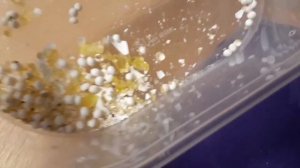 Чем можно кормить улиток летом? Как сделать кальций для улиток?