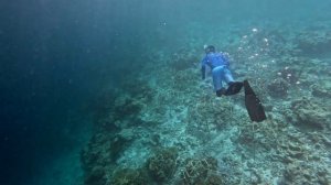 Snorkelling in maldives constance moofushi resort
