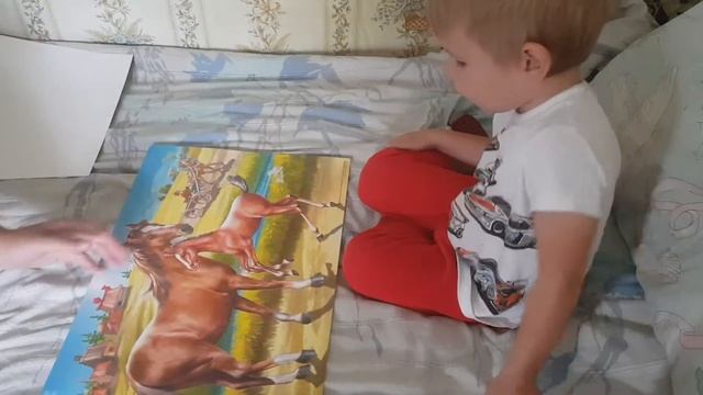 Развитие речи: Домашние животные смотреть онлайн