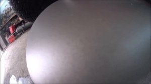 колеруемый раптор