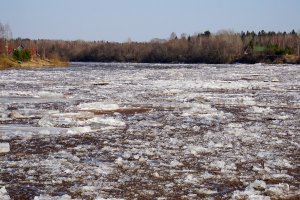 ледоход на реке Паша в Ленинградской области