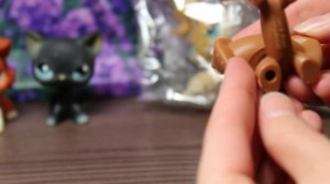 LPS Посылка с АлиЭкспресс стоячки, колли, такса супер кот черный кот тигрица петы с дефектами брак