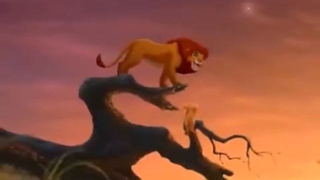 Король лев 2 Гордость Симбы 