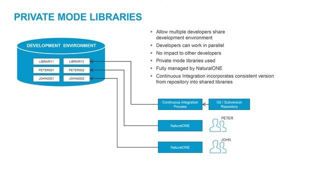 NaturalONE & DevOps Tutorials -Team Development - Private Mode смотреть онлайн
