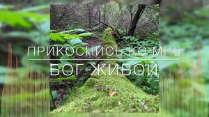 Христианские Песни - Прикоснись ко мне Бог Живой - Анна Горобчук